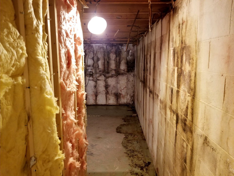 Mold remediation shot of walls and insulation