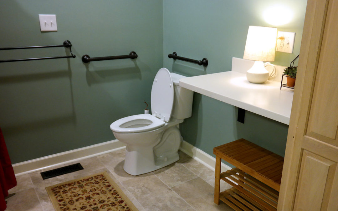 Bathroom remodel - toilet area