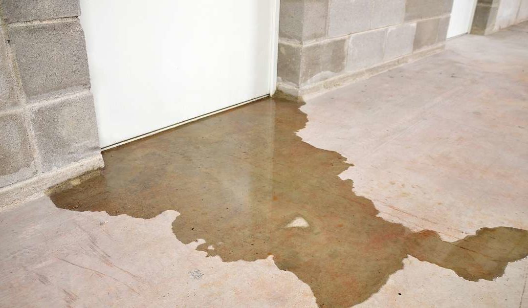 Commercial Renovation: 5 Hidden Ways Water Damage is Hurting Your Business