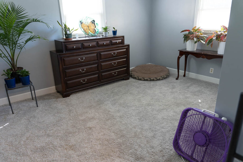 Bedroom remodel at an angle, showing dresser and carpeting