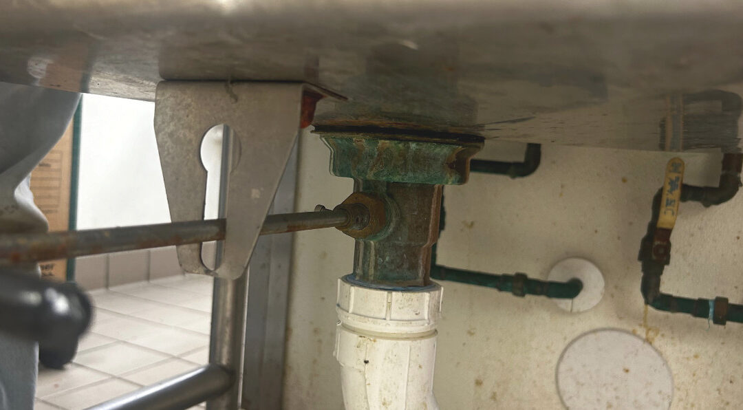 Mold and Leaky Drains In A Commercial Kitchen: Project Example